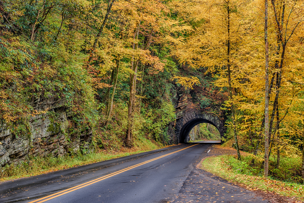 4 Lesser-Known Scenic Drives in the Smokies