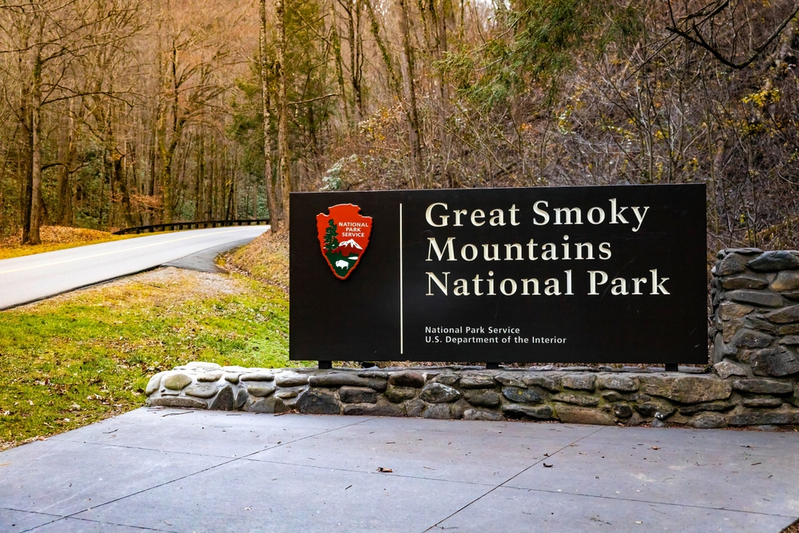 Exploring Great Smoky Mountains National Park: 5 Tips From the Locals