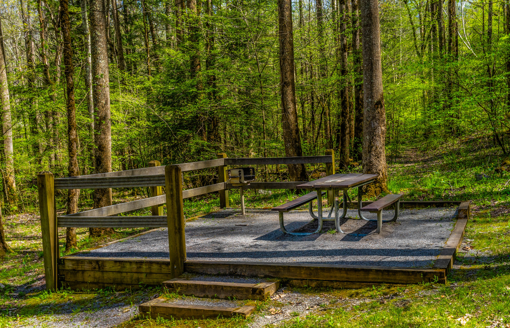 Top 4 Picnic Areas in the Smoky Mountains