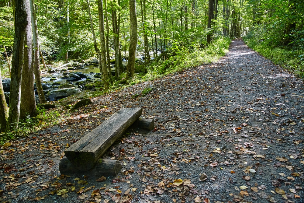 5 of the Best Easy Hikes in the Smoky Mountains to Experience with Your Family
