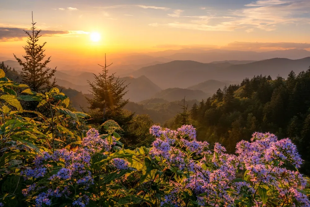10 Fun Facts About the Great Smoky Mountains National Park